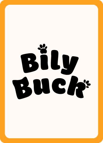 Projet Bily Buck